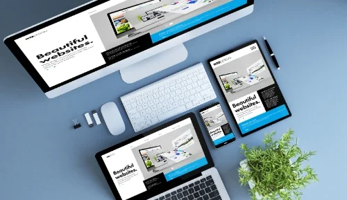 محبوبیت طراحی سایت با وردپرس در جهان
