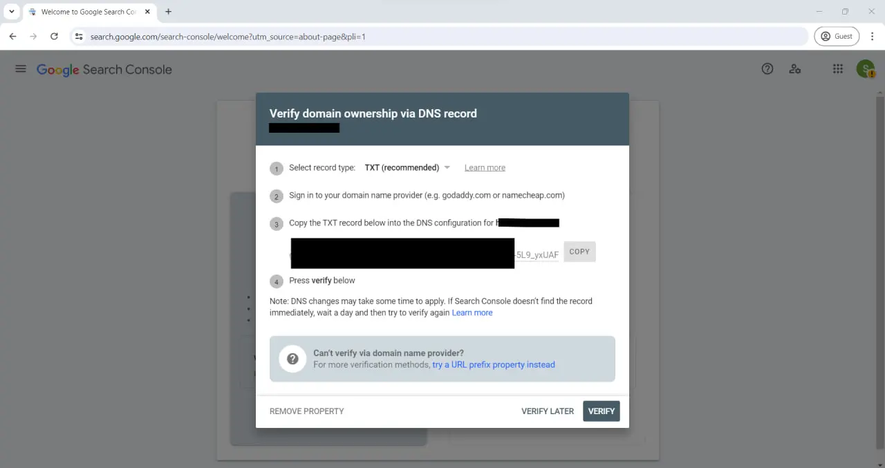 domain verify