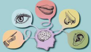 بازاریابی احساسی چیست؟