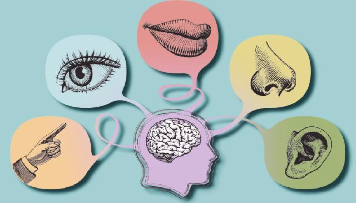 بازاریابی احساسی چیست؟